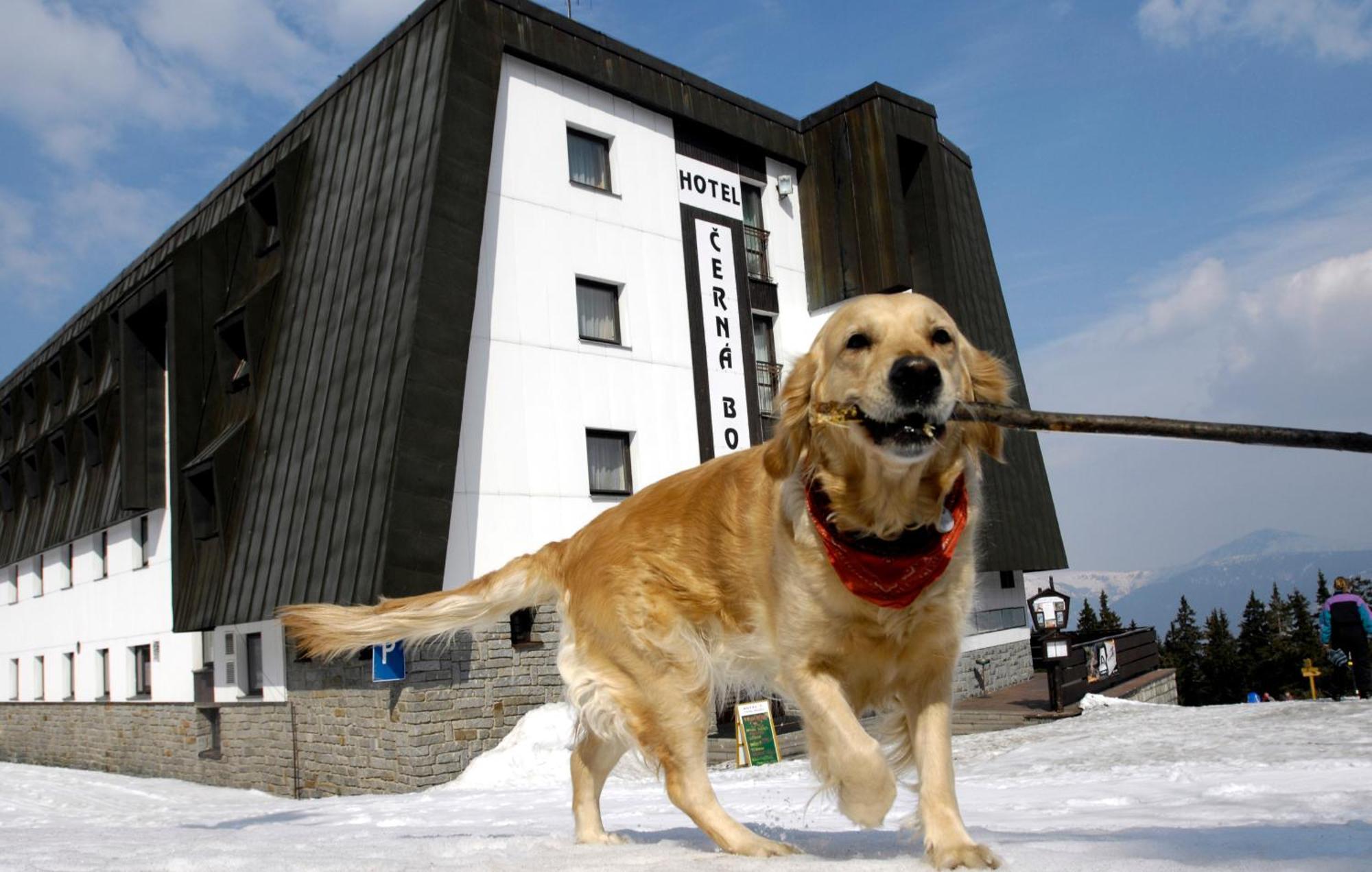 Hotel Cerna Bouda Janské Lázně Esterno foto